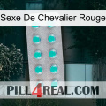 Red Knight Sex 28